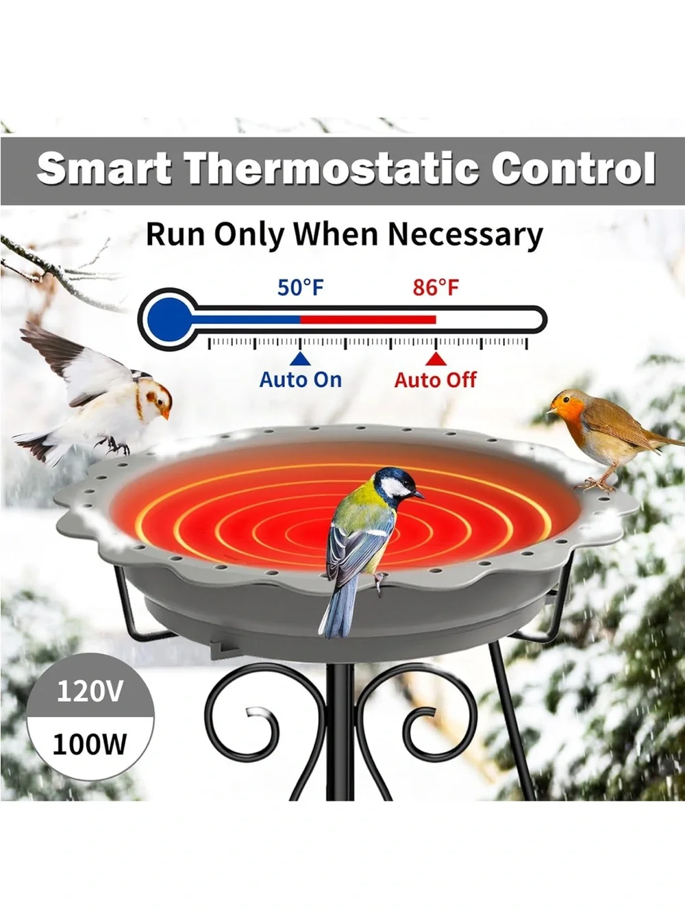 New Open Box Heated Bird Bath for Outside Winter, Powerful 100W Thermostat Contr